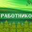 Поздравление с Днем работников леса! - Администрация городского округа