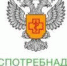 Более 967 тысяч исследований на наличие нового коронавируса проведено в регионе - Администрация городского округа