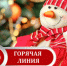 Роспотребнадзор запускает «горячую линию» по вопросам качества и безопасности детских товаров и выбору новогодних подарков. - Город Шахунья