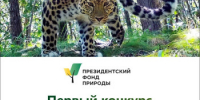 Объявлен первый конкурс экологических и природоохранных проектов! - Город Шахунья