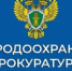 Нижегородская межрайонная природоохранная прокуратура информирует. - Город Шахунья