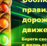 Госавтоинспекция по городу Шахунья информирует : - Город Шахунья